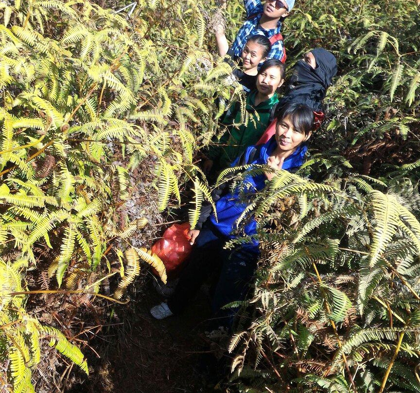 Mount Batukaru-达巴南必去景点