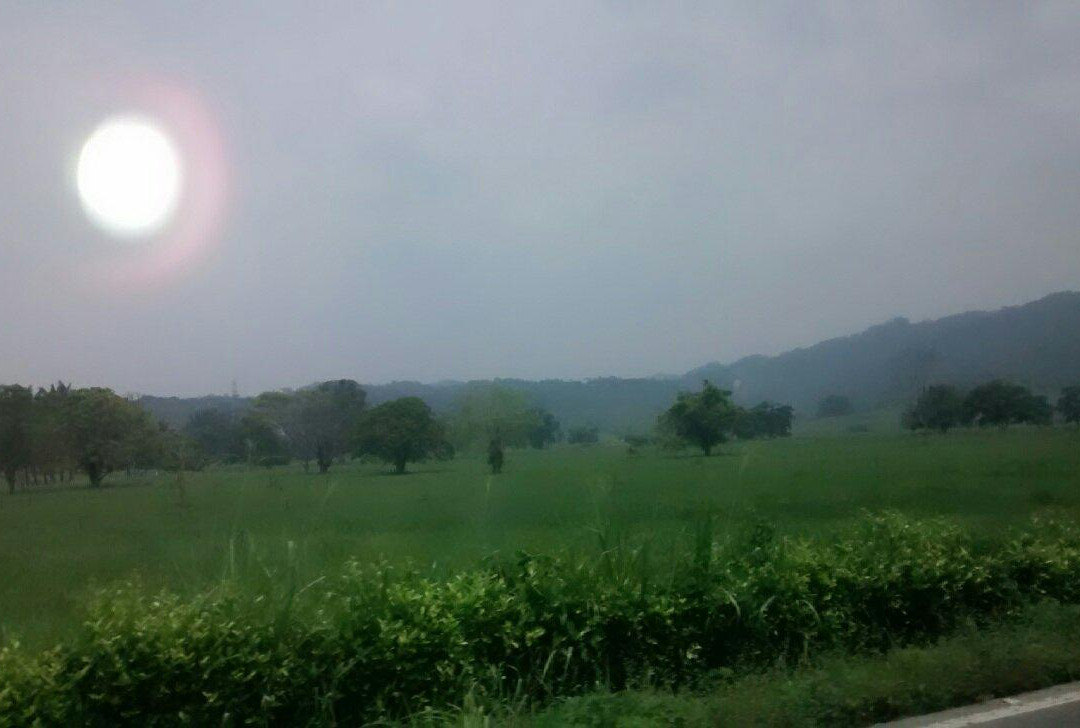 La Venezuela de Antier-梅里达市必去景点