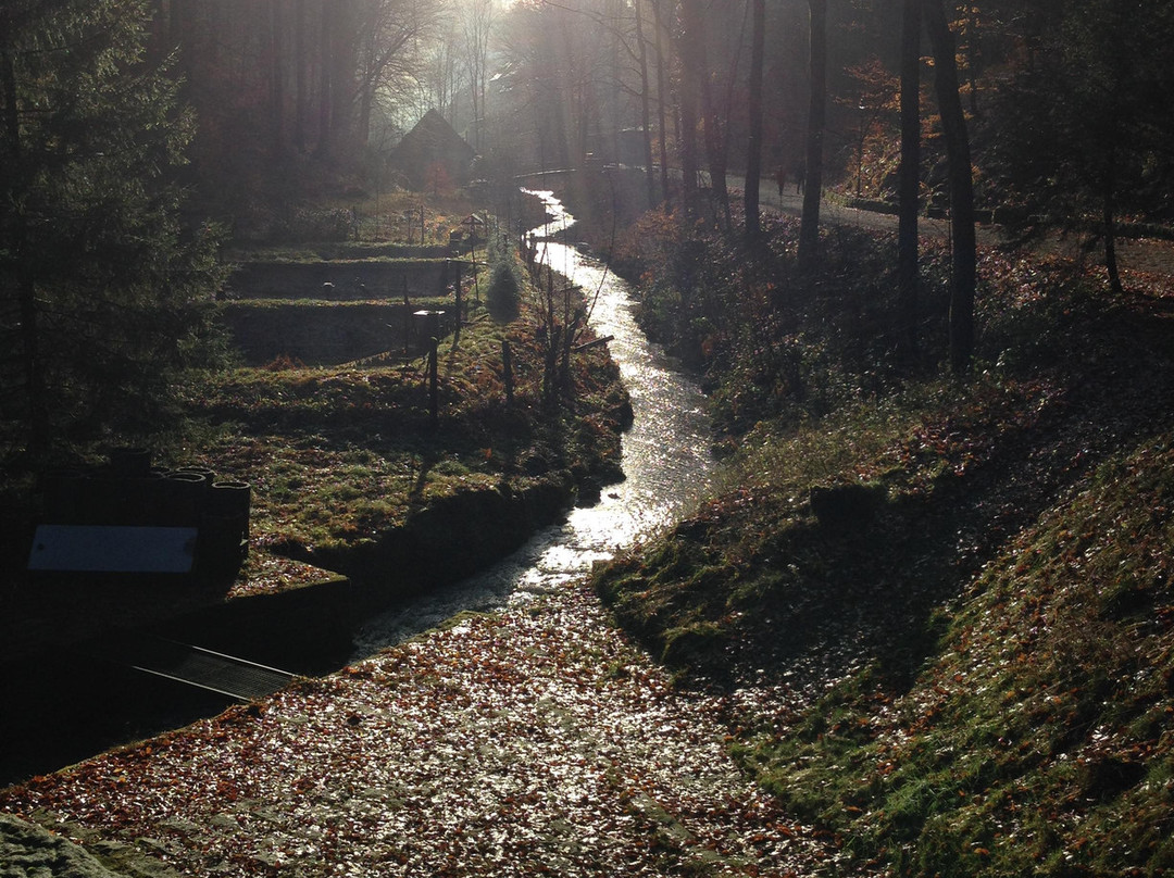 Hotel Erbgericht主图