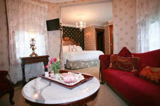 The Ginkgo Tree主图