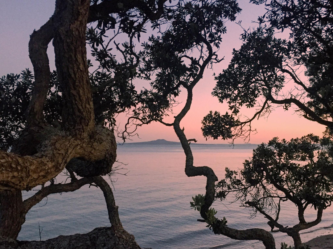 Little Manly Beach-旺阿帕劳阿必去景点