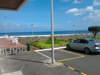Hotel Servi-Flor-泳池