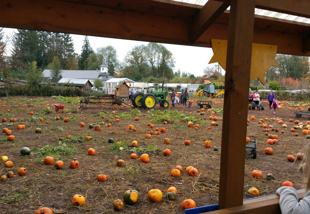 Port Kells Nurseries-素里必去景点