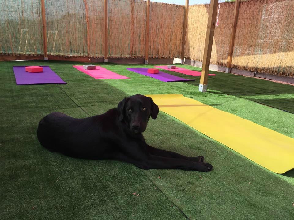 Arrifana Sunset Shop-Aljezur必去景点