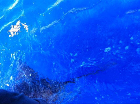 Bill Wraps Fishing Charters Puerto Rico-法哈多必去景点