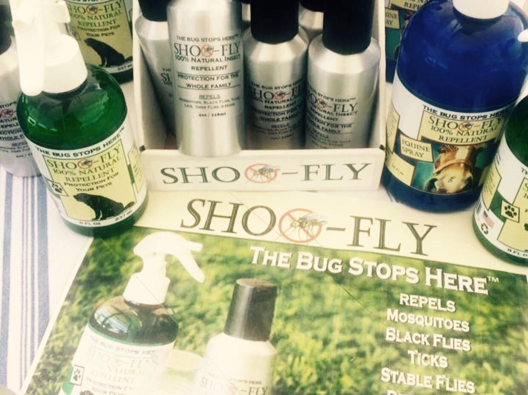 Pure Placid-普莱西德湖必去景点