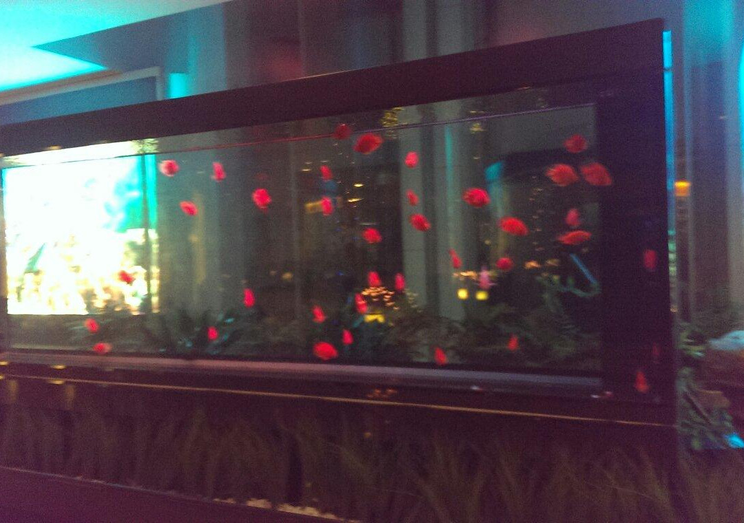 连云港市酒店住宿-神州宾馆