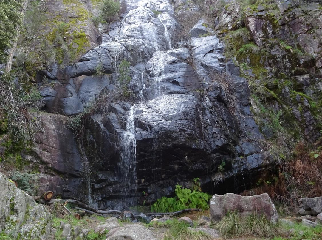 Clematis Falls-贺思盖必去景点