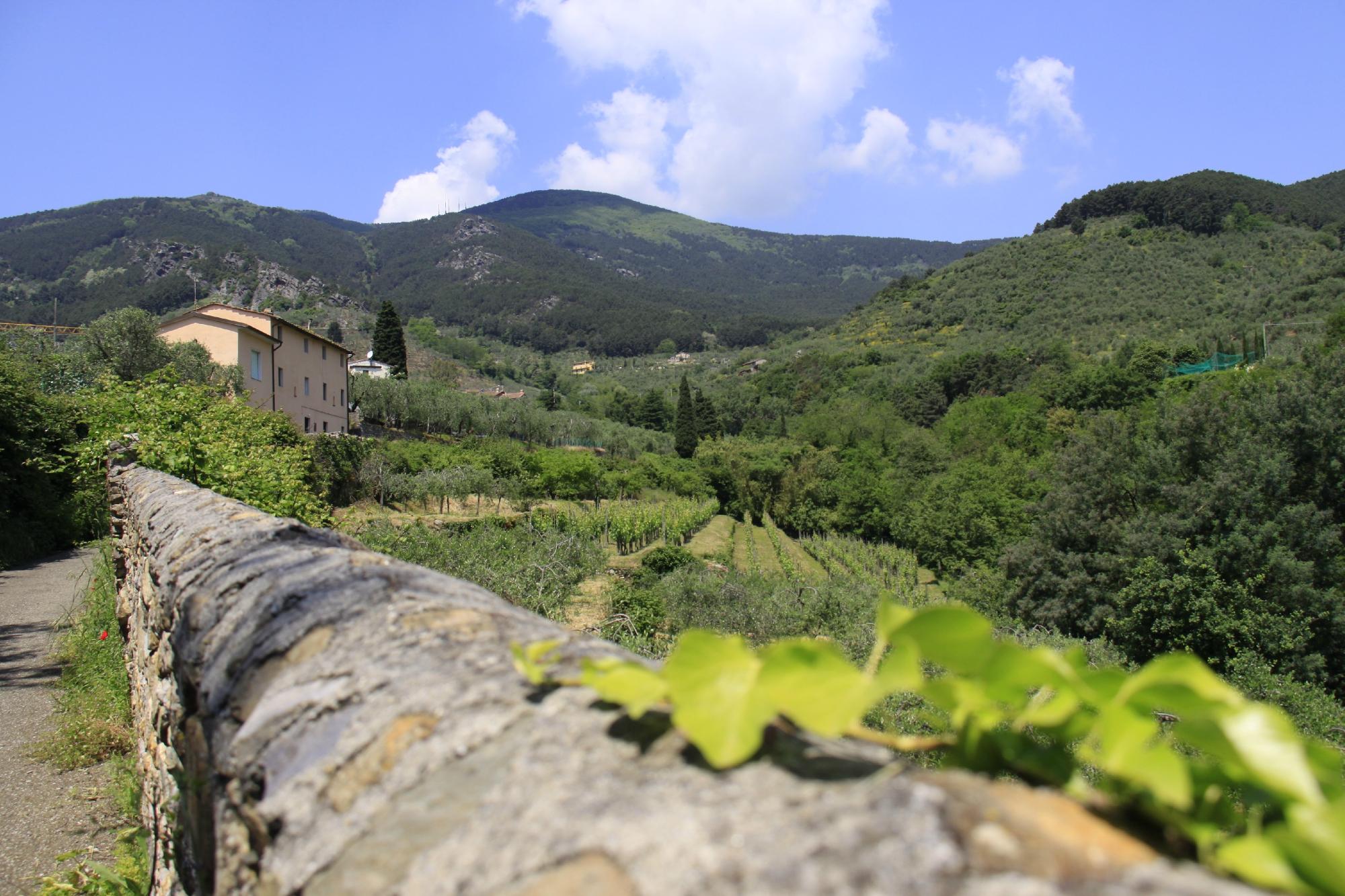 Il Vecchio Frantoio-客卧