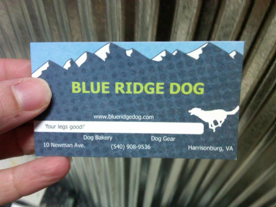 Blue Ridge Dog-哈里森堡必去景点