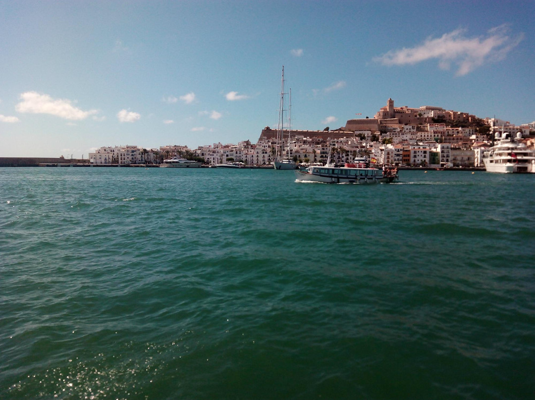 Sea Bus Ibiza Town景点图片