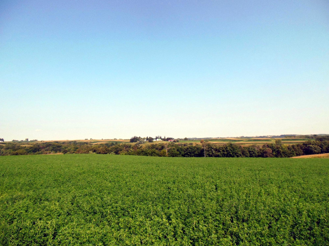 Sweet Dreams Bed & Breakfast主图