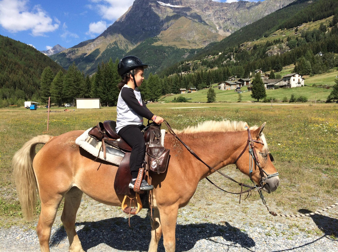 Equitazione Alpina景点图片