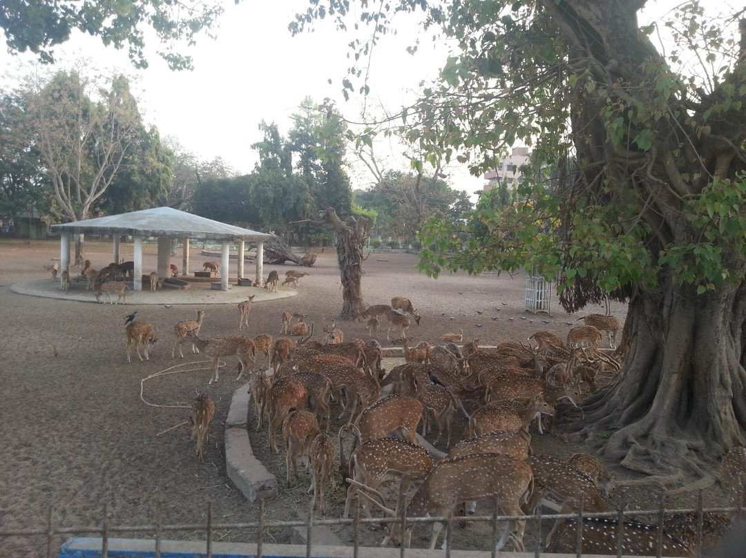 Deer Park景点图片