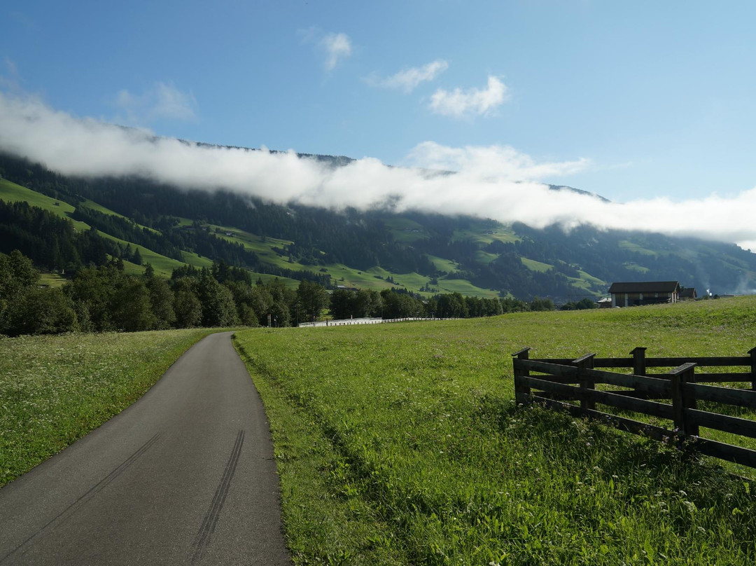 Pista Ciclabile Val Pusteria Pusterbike景点图片
