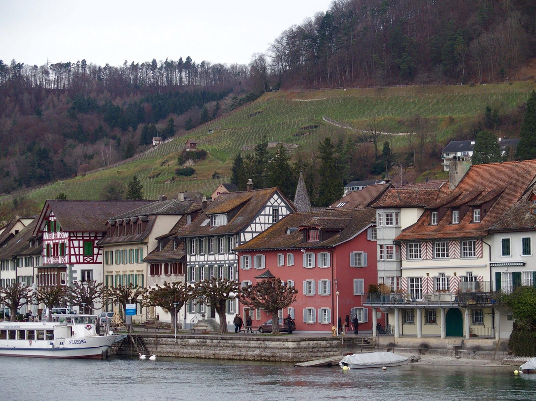Stein am Rhein Town-施泰因必去景点