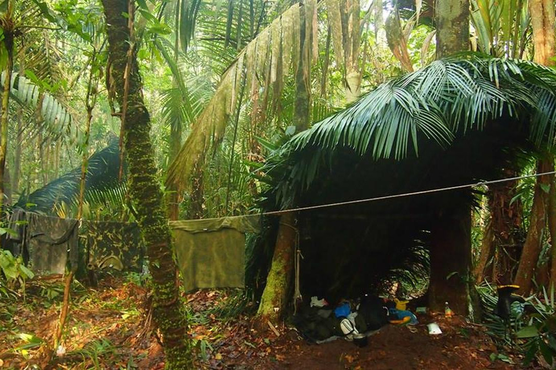 Amazon Rambo Jungle Tours-玛瑙斯必去景点