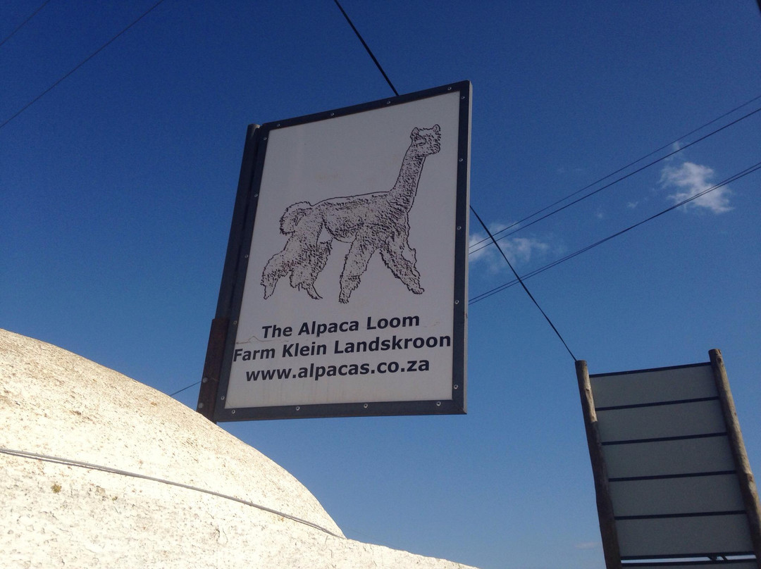 The Alpaca Loom Coffee Shop & Weaving Studio-Suider Paarl必去景点