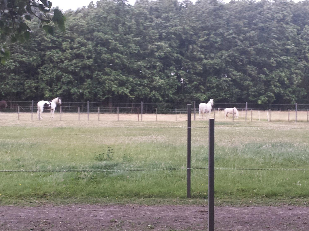 Camping Het Hof