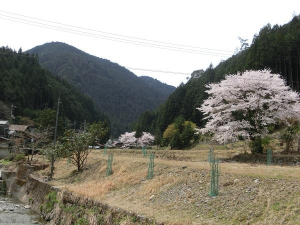 Yoshino Miyataki Manyo Road-吉野町必去景点