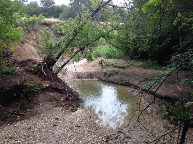 Arbor Hills Nature Preserve-普莱诺必去景点