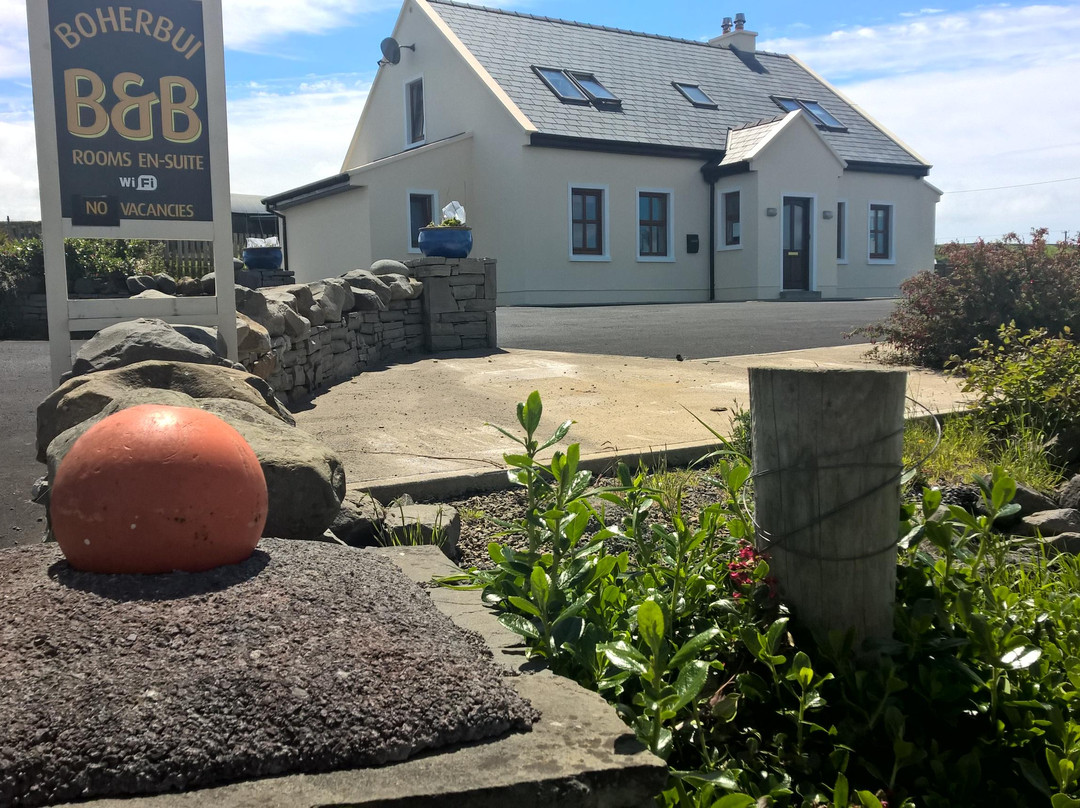 Knockagulla酒店住宿-Boherbui B&B