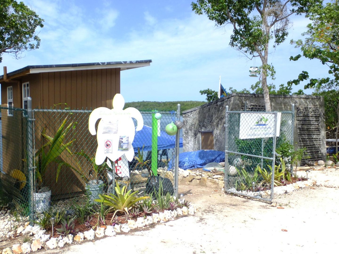 Edwin's Turtle Lake Marine Reserve-伊柳塞拉必去景点