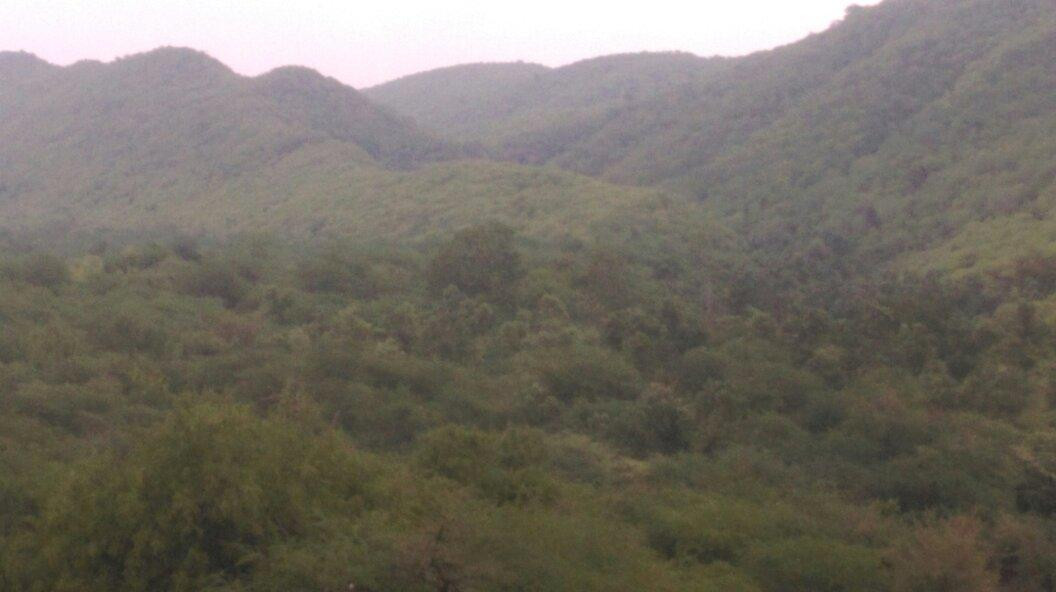 Ramgarh Vishdhari Sanctuary景点图片