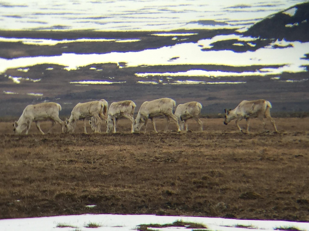 JeepTours-埃伊尔斯塔济必去景点