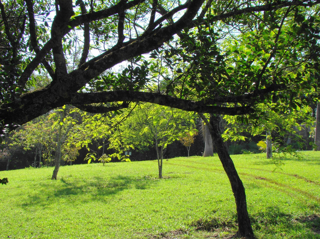 Parque Ecológico Eugênio Walter景点图片