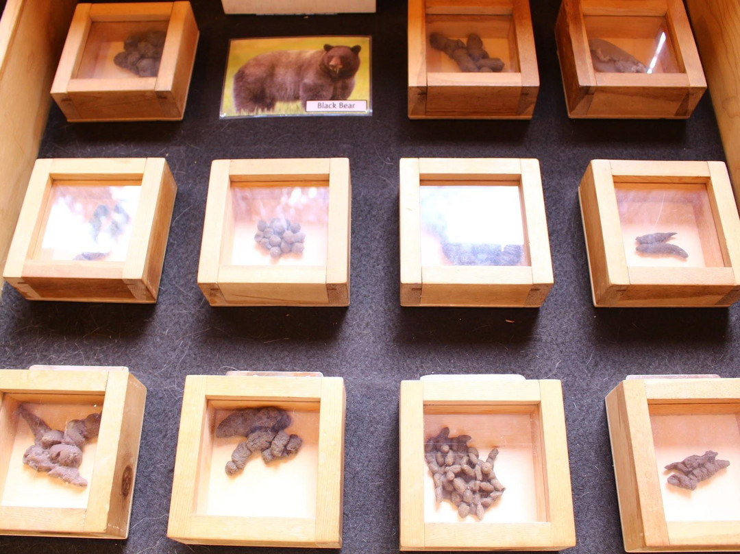 Sunriver Nature Center-太阳河必去景点