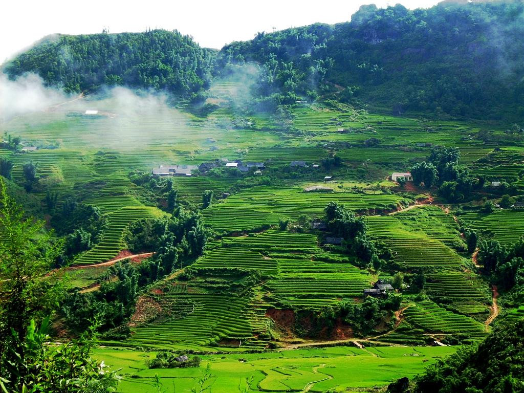 Attraction Vietnam - Day Tours-河内必去景点