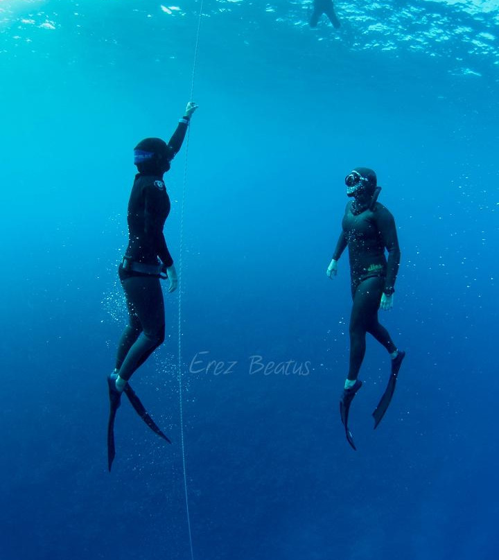 Apnea Australia景点图片