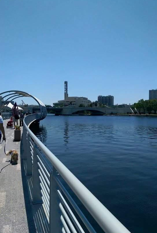 Tampa Riverwalk-坦帕必去景点