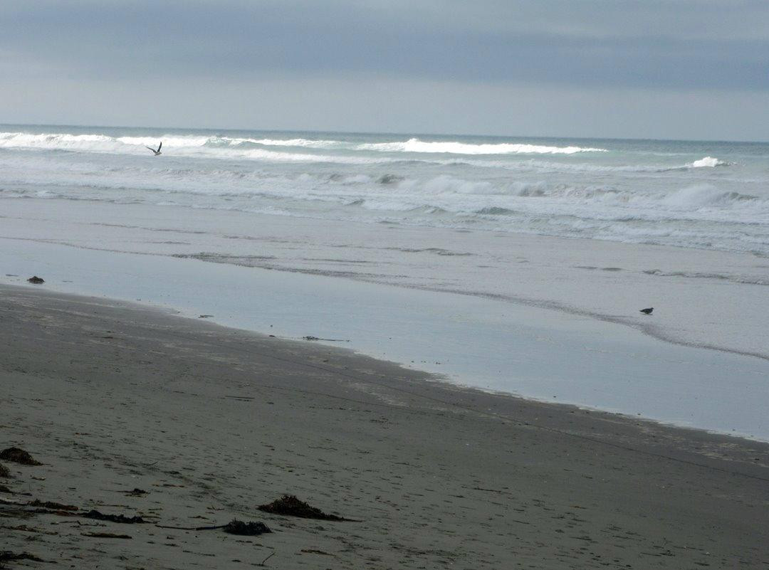 Waimairi Beach-基督城必去景点