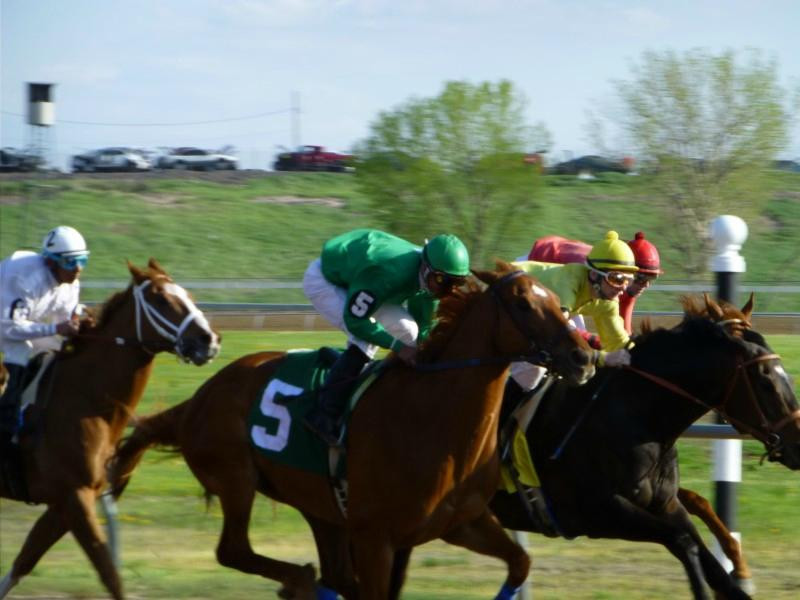 Horsemen's Park-奥马哈必去景点