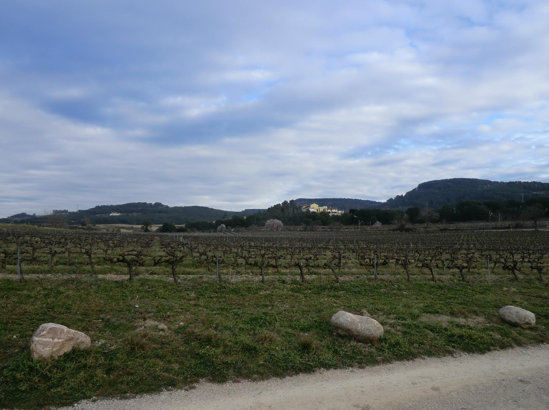 Cava Guilera-Lavern必去景点