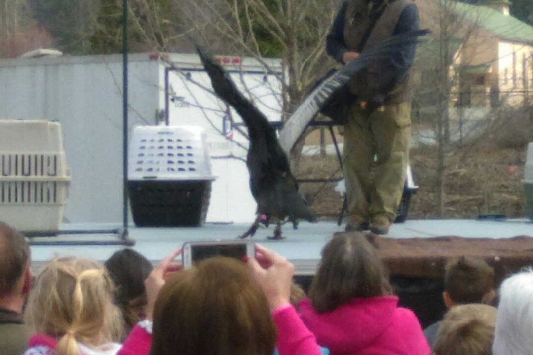 Oxbow Meadows Environmental Learning Center-哥伦布必去景点