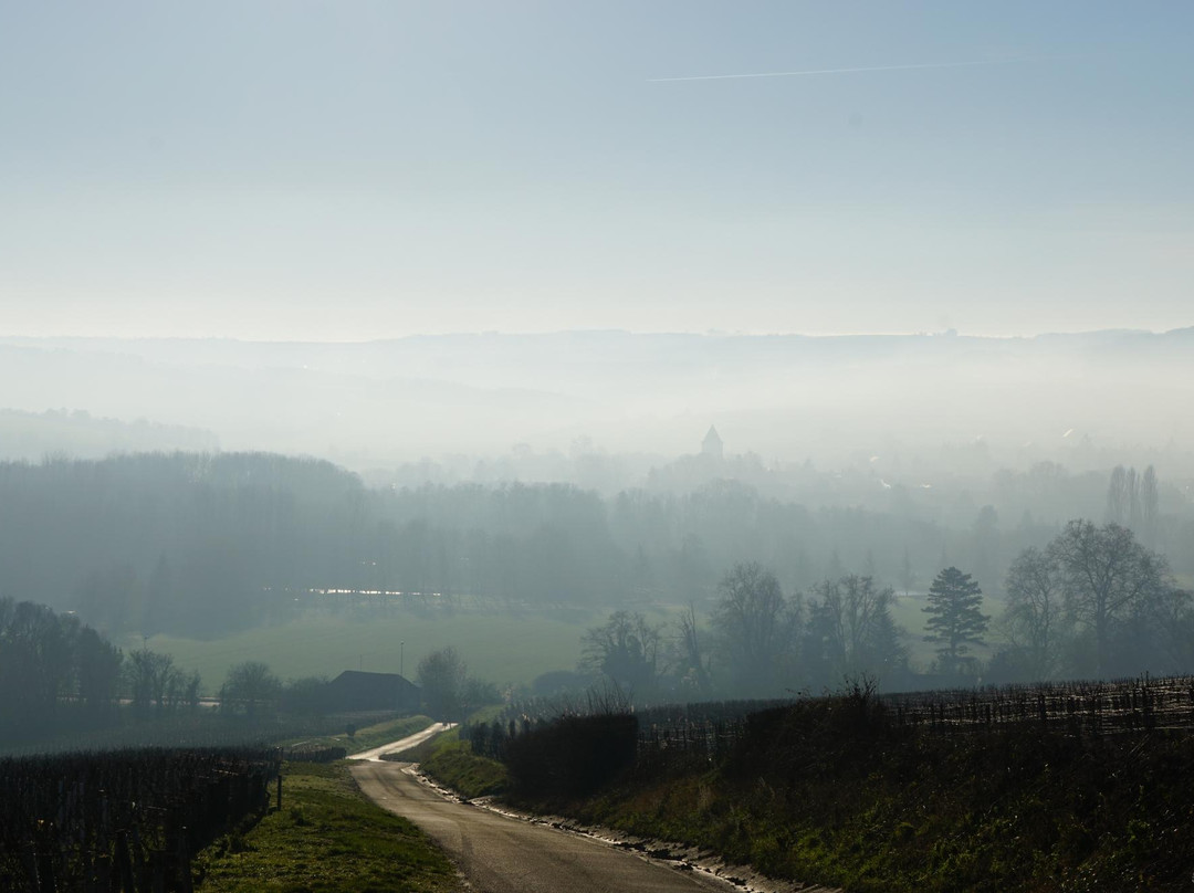 Burgundy Report Tours - Day Tours-博讷必去景点