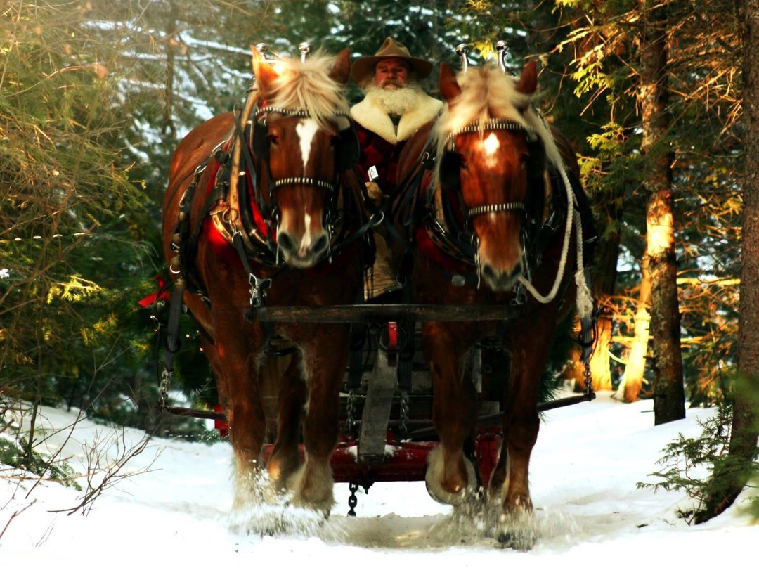 Country Dreams Farm-Plattsburgh必去景点