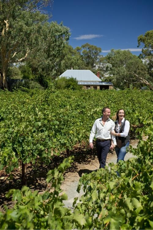 Reillys Wines Vineyard Walk景点图片