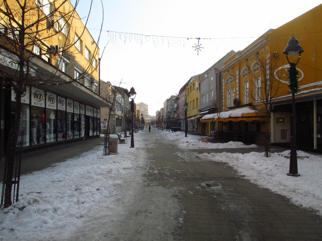 Smederevska Palanka旅游攻略图片