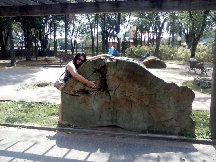 Praça dos Pioneiros景点图片