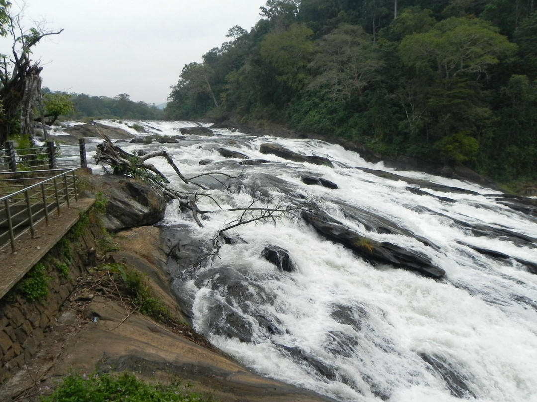 Vazhachal Waterfalls-德里久尔必去景点