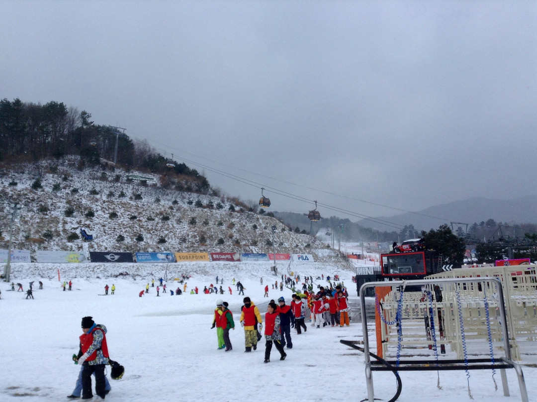 Phoenix Snow Park-平昌郡必去景点