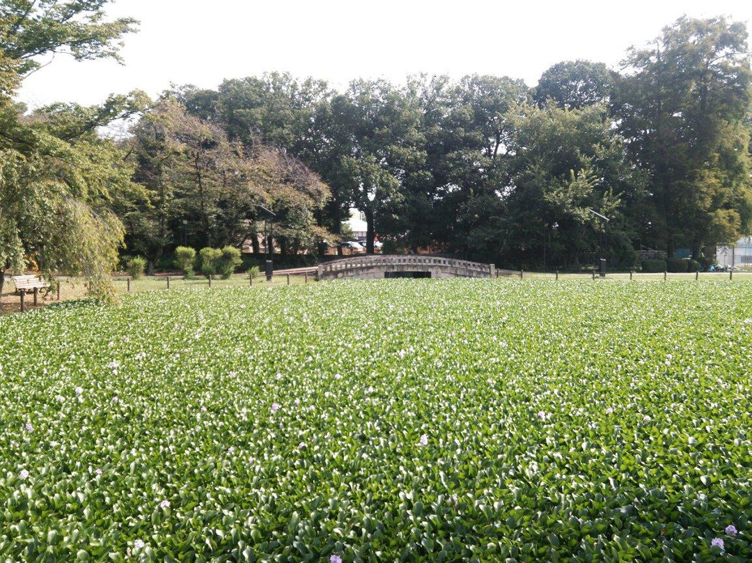 Water Castle Park-行田市必去景点
