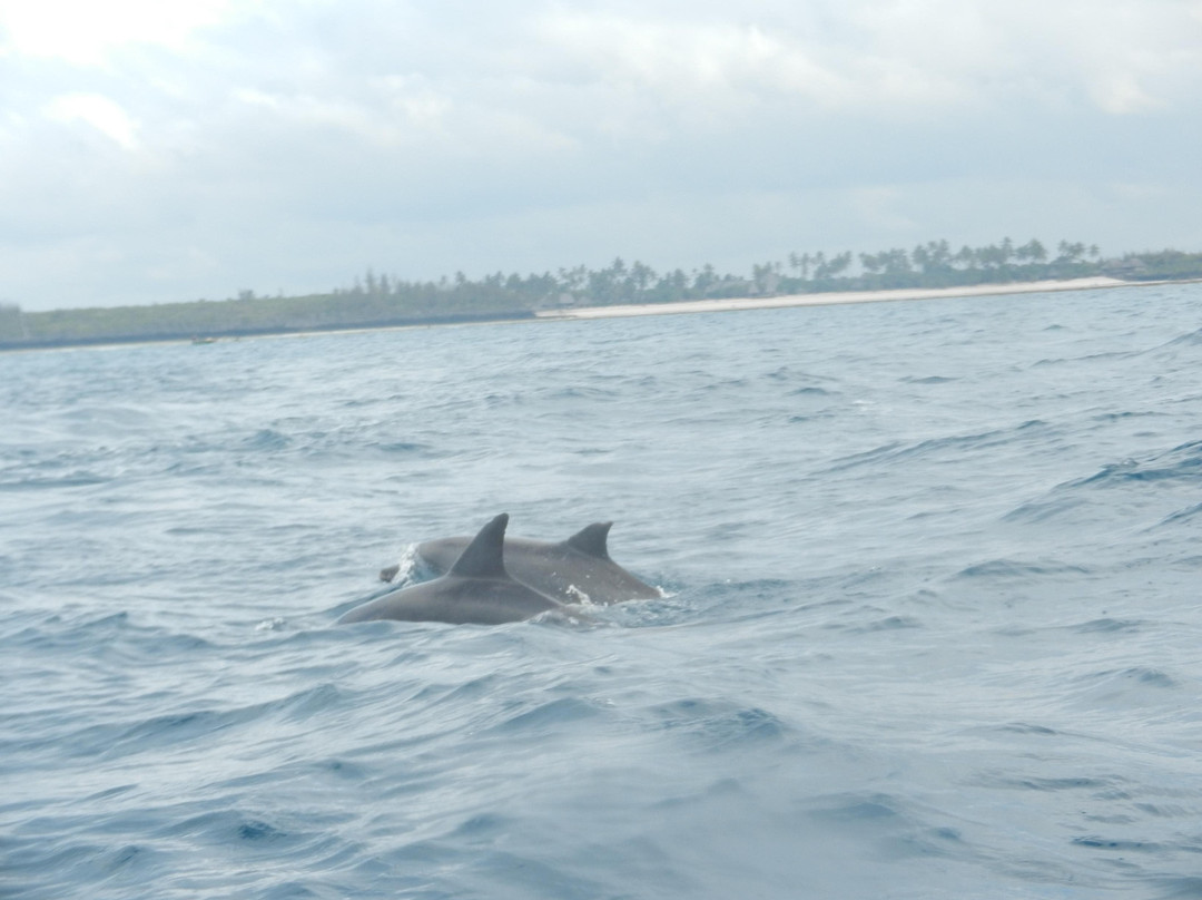 Super Safari-桑给巴尔岛必去景点