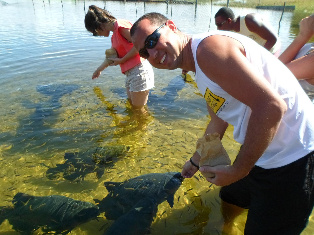 Lagoa dos Tambaquis-阿拉卡茹必去景点