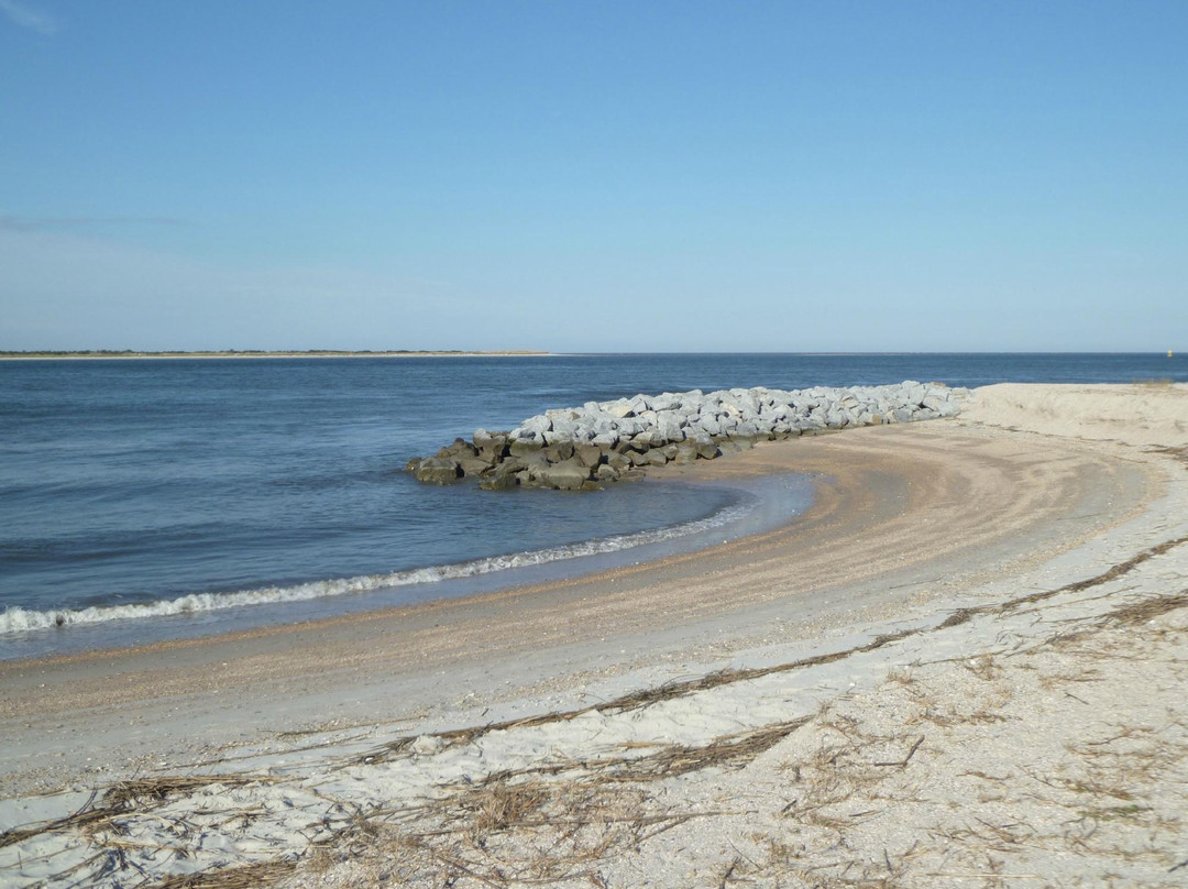 阿米莉亚岛旅游攻略图片