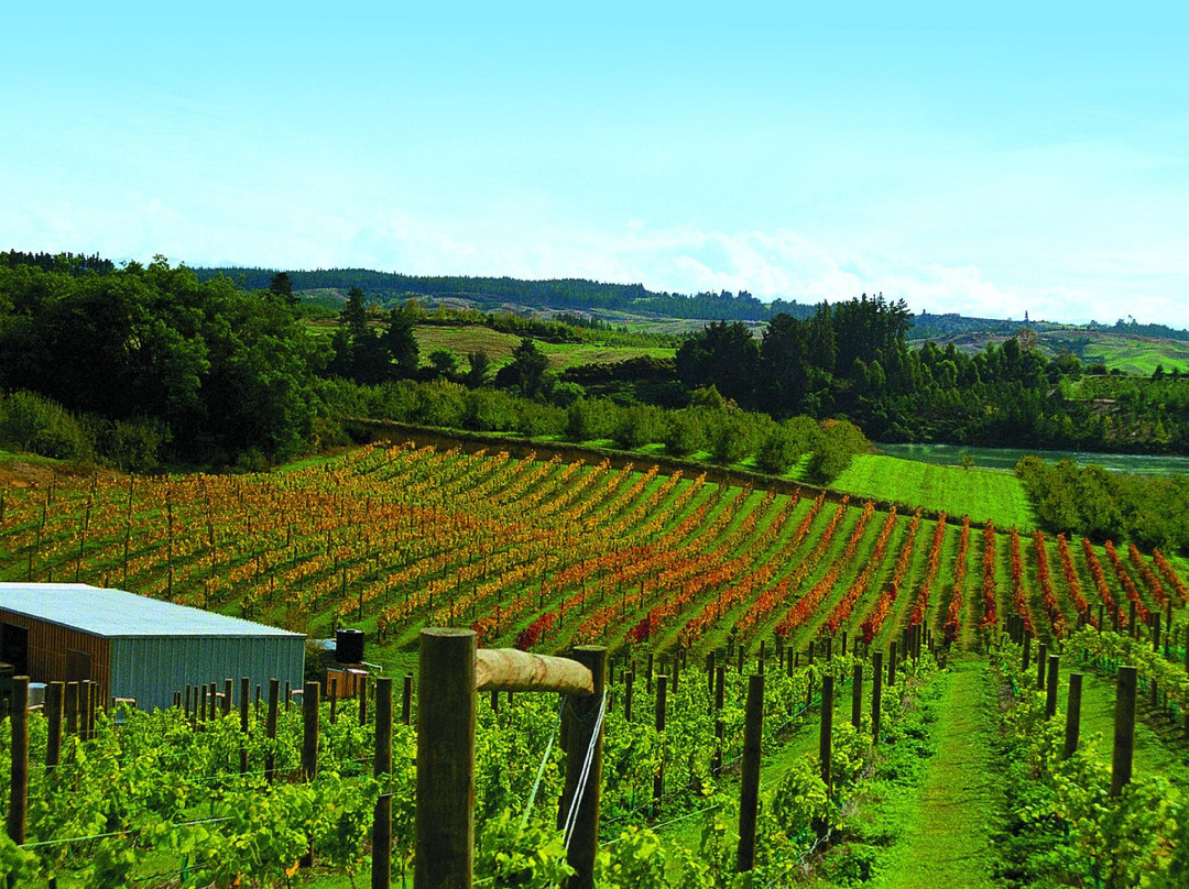 Rimu Grove Winery景点图片
